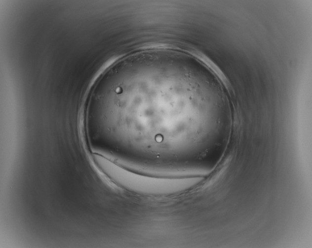 X0000111150909200907071106