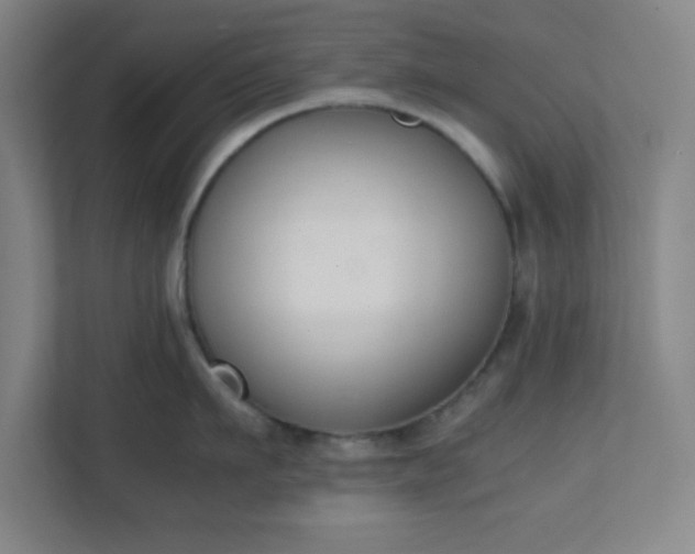 X0000111150911200907071106