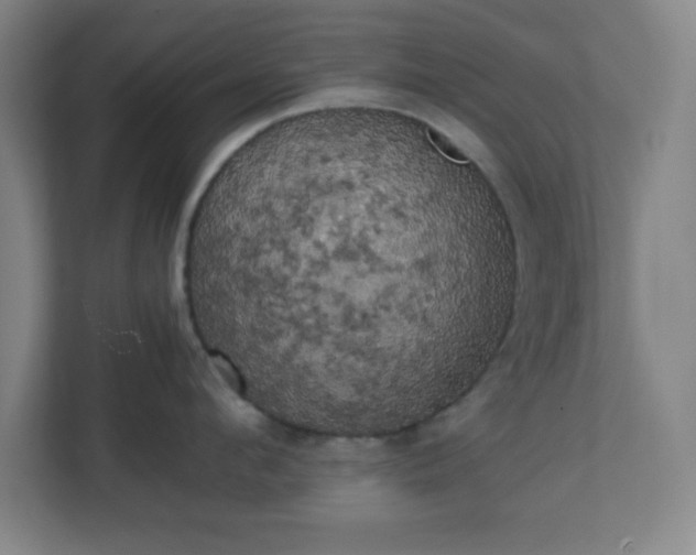 X0000111150912200907071106