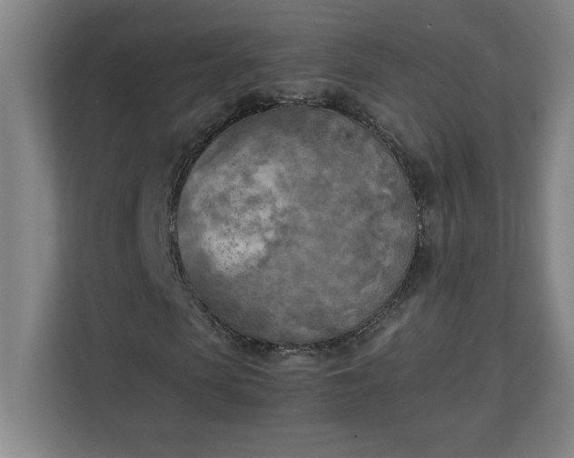 X0000111150913200907071106