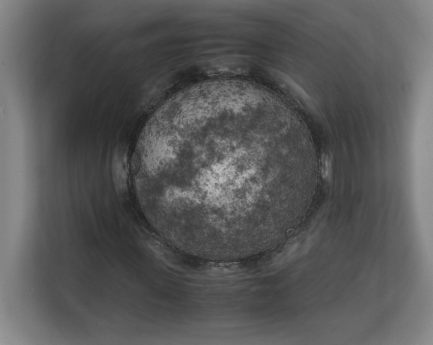 X0000111150915200907071106