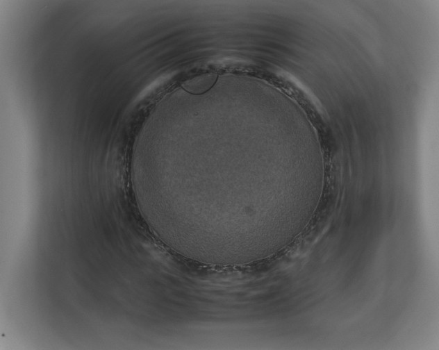 X0000111150919200907071106