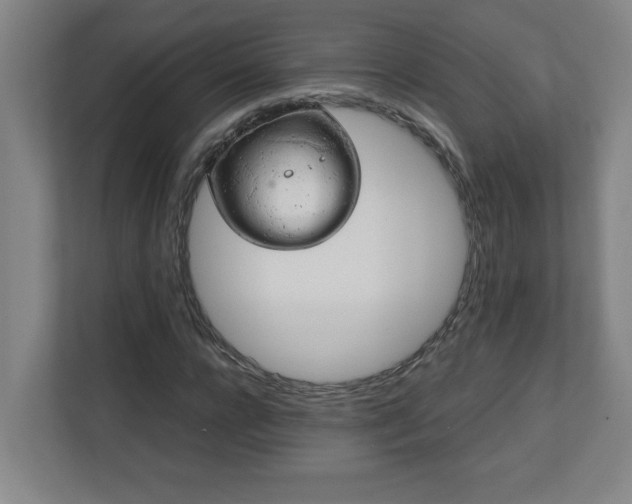 X0000111150920200907071106