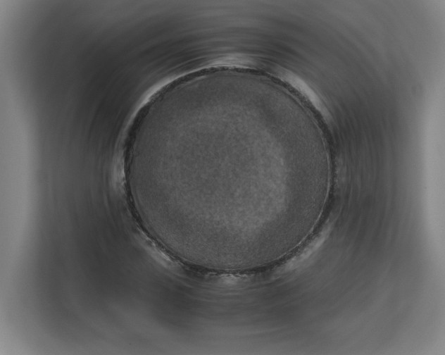 X0000111150923200907071106