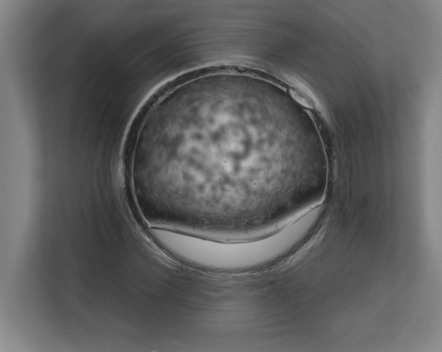 X0000111150924200907071106
