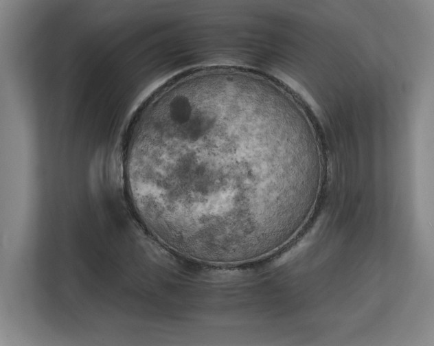 X0000111150925200907071106