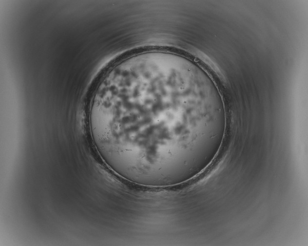 X0000111150926200907071106