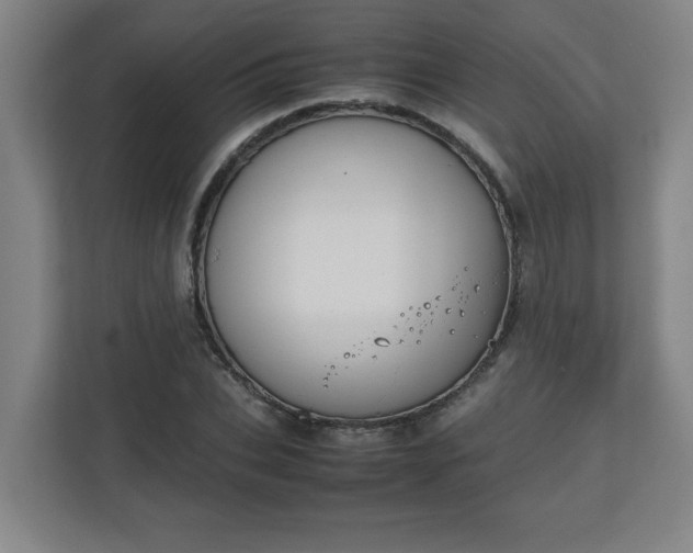 X0000111150927200907071106