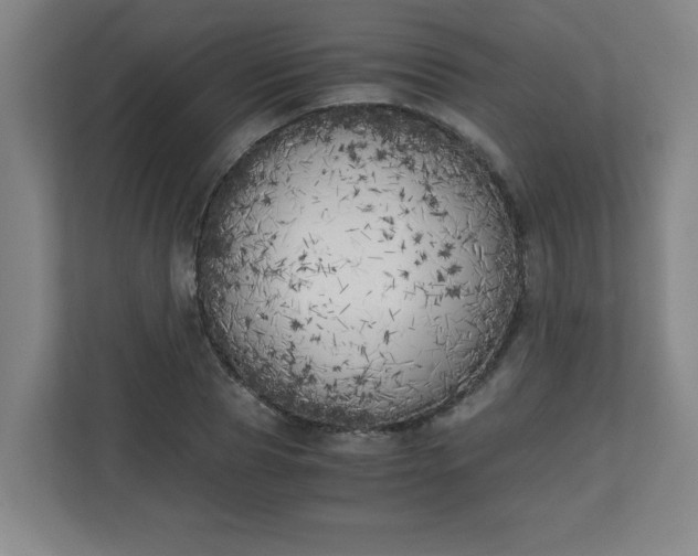 X0000111150929200907071106