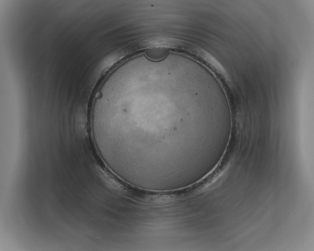 X0000111150930200907071106