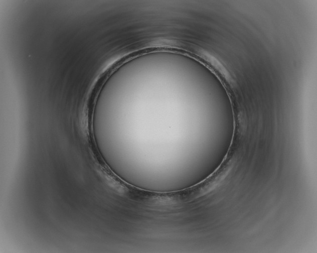 X0000111150931200907071106