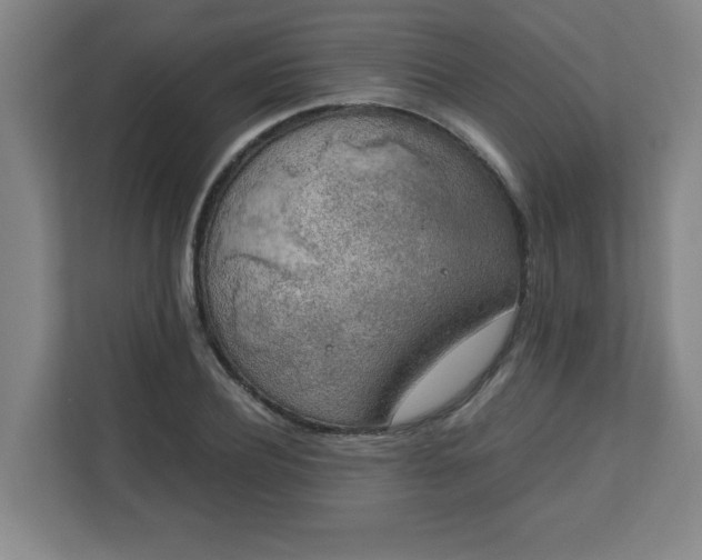 X0000111150932200907071106