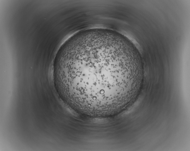 X0000111150933200907071106