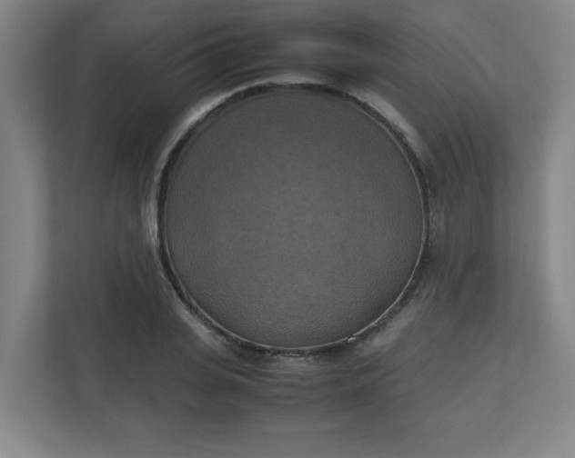 X0000111150935200907071106