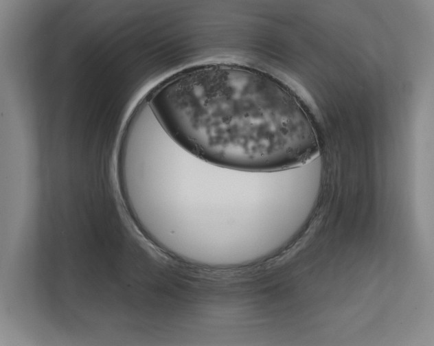 X0000111150936200907071106