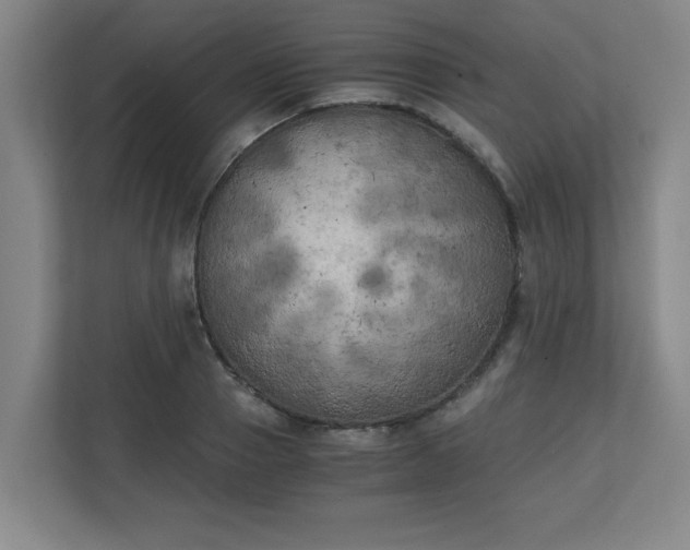 X0000111150937200907071106