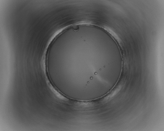 X0000111150941200907071106