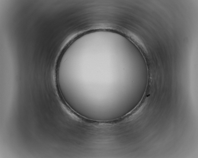 X0000111150942200907071106