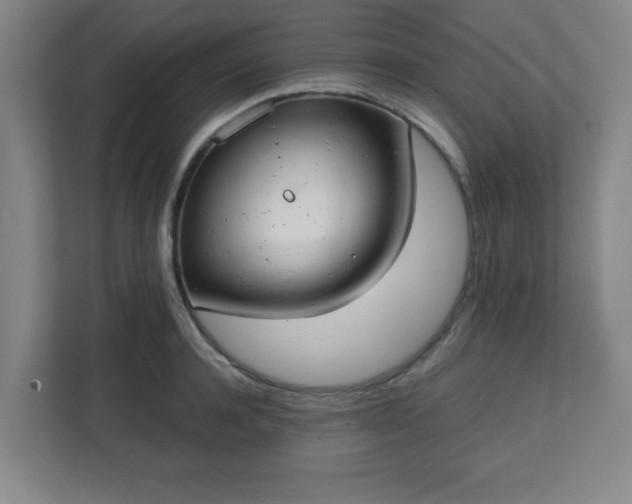 X0000111150944200907071106