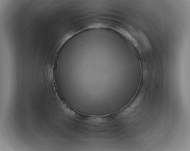 X0000111150945200907071106