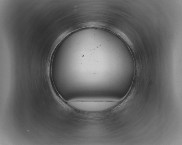 X0000111150946200907071106