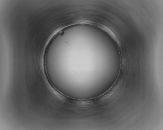 X0000111150947200907071106