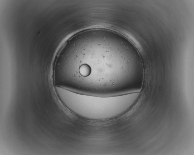 X0000111150948200907071106