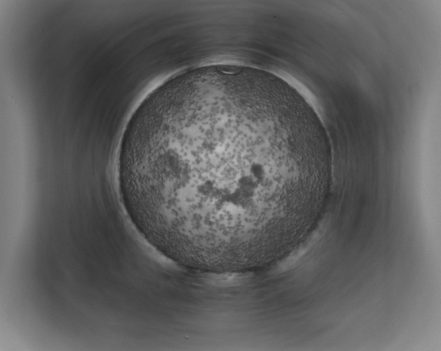 X0000111150949200907071106