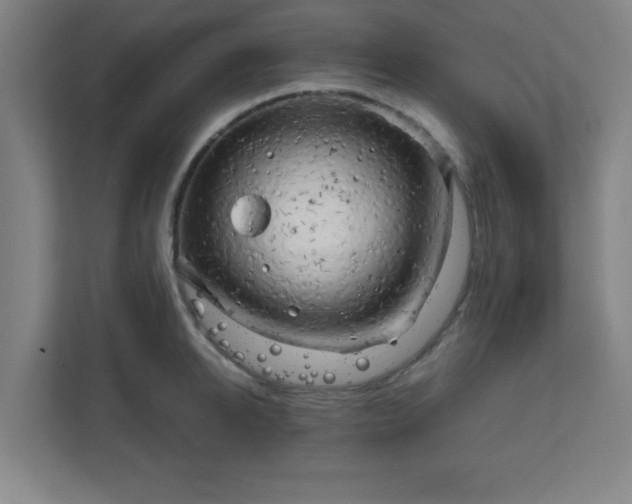 X0000111150950200907071106