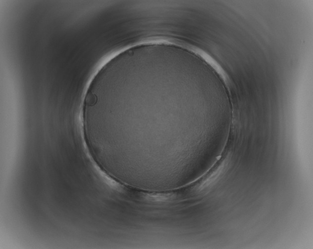 X0000111150951200907071106