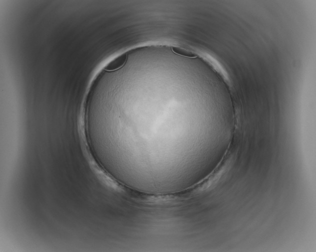 X0000111150952200907071106