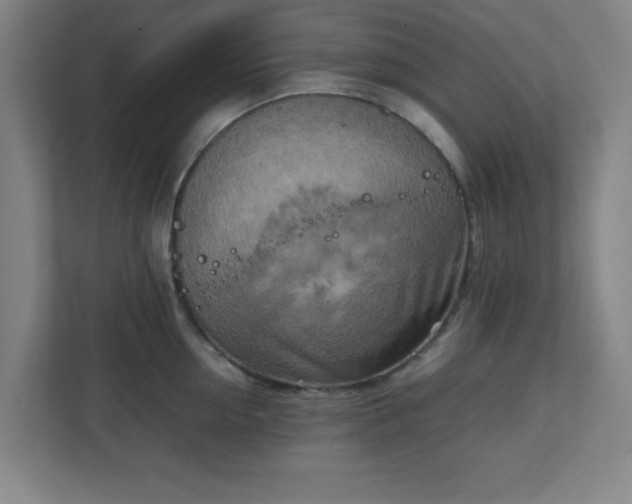 X0000111150954200907071106