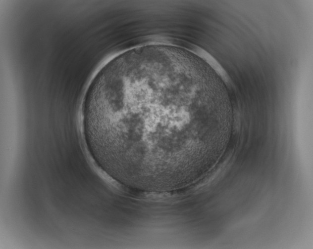 X0000111150955200907071106