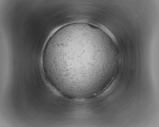 X0000111150956200907071106