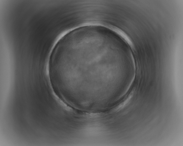 X0000111150958200907071106