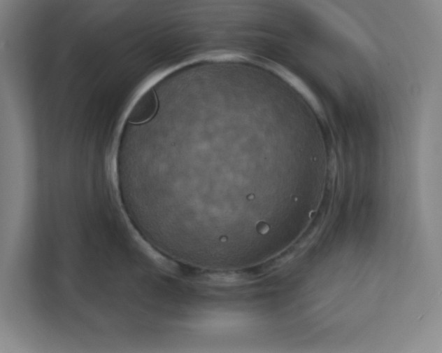X0000111150959200907071106