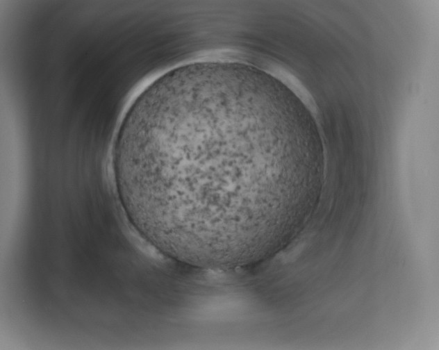 X0000111150960200907071106