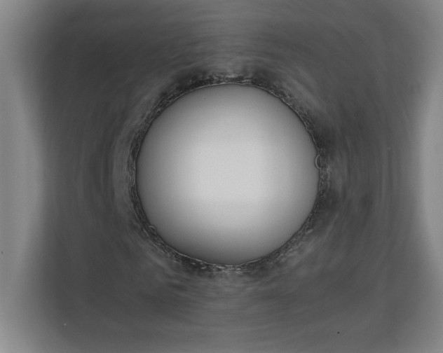 X0000111150961200907071106