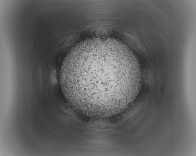 X0000111150962200907071106