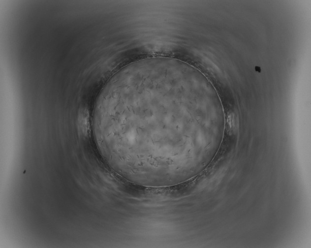 X0000111150963200907071106