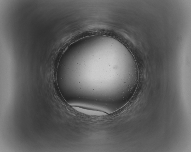 X0000111150965200907071106
