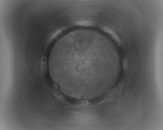 X0000111150968200907071106