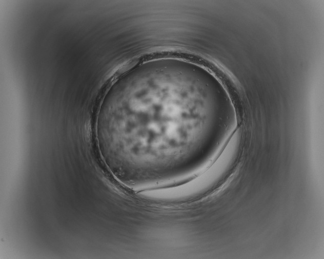 X0000111150969200907071106