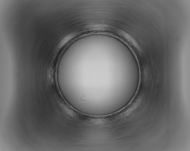 X0000111150970200907071106