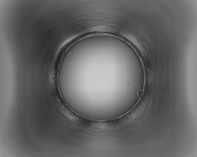 X0000111150971200907071105