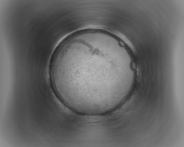 X0000111150972200907071105