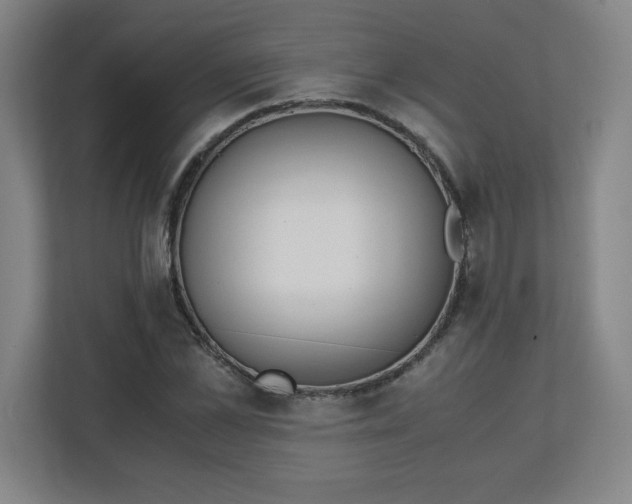 X0000111150973200907071105