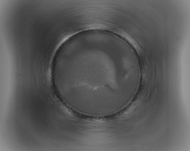 X0000111150975200907071105