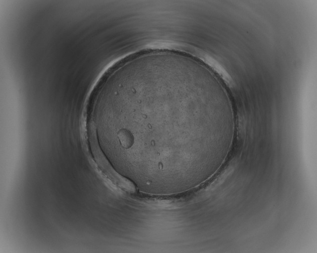 X0000111150976200907071105