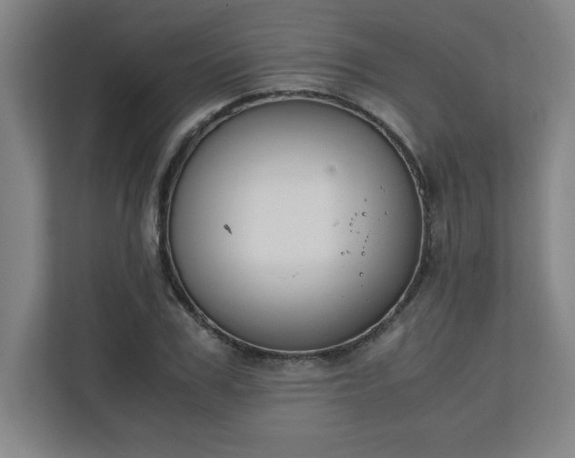 X0000111150979200907071105
